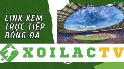 Xoilac-tv.click: Trang web Xoilac TV trực tiếp bóng đá Young Boys uy tín